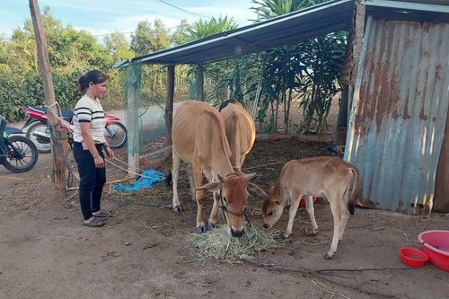 Kon Gang tạo đòn bẩy giúp người dân thoát nghèo