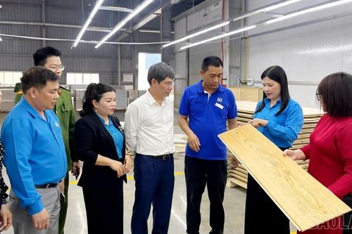 Đẩy mạnh phát triển công đoàn trong doanh nghiệp ngoài Nhà nước