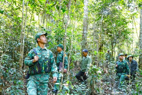 Bảo vệ 'lá chắn xanh' nơi vành đai biên giới