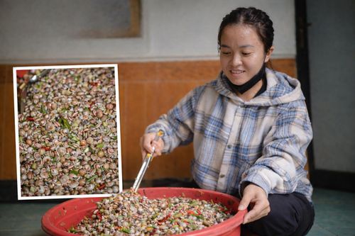 Mùa ốc ruốc, hương vị biển quê
