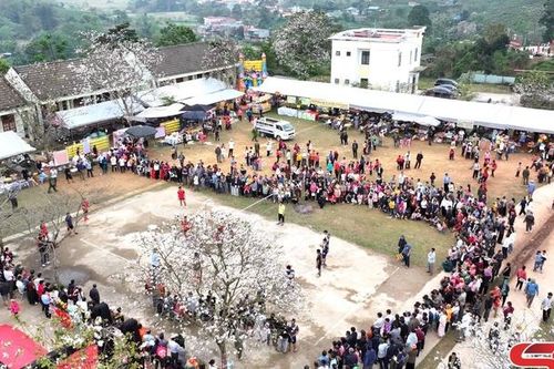 Ấn tượng Lễ hội hoa ban Tô Múa