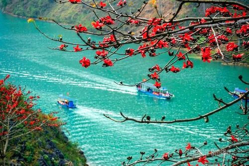 Khâu Vai 'miền đá nở hoa'
