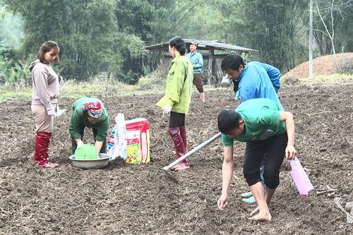 Đổi công - Nét đẹp ngày mùa