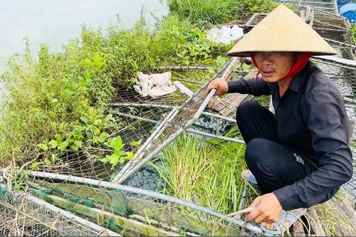 Đa dạng sinh kế, hướng phát triển bền vững ở Đan Điền