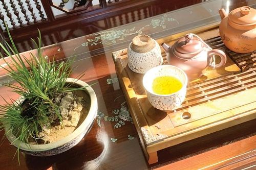 Tinh tế nghệ thuật uống trà Huế