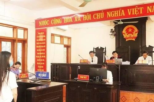 Hà Tĩnh: Kinh doanh online không đóng thuế, chủ hộ lĩnh án