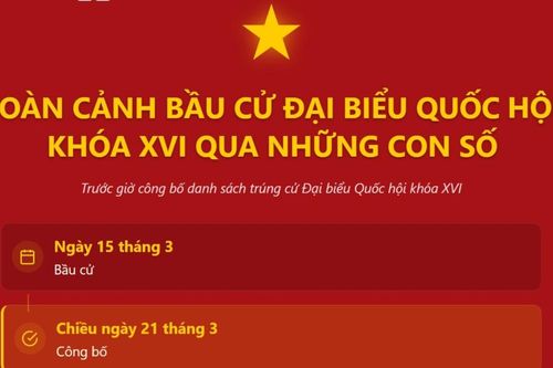 Những con số ấn tượng trước giờ công bố danh sách trúng cử ĐBQH khóa XVI chiều nay 21/3