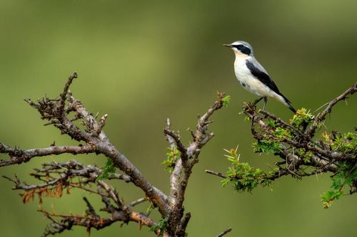 Sau xuân phân, miền Bắc còn 'rét nàng Bân'?