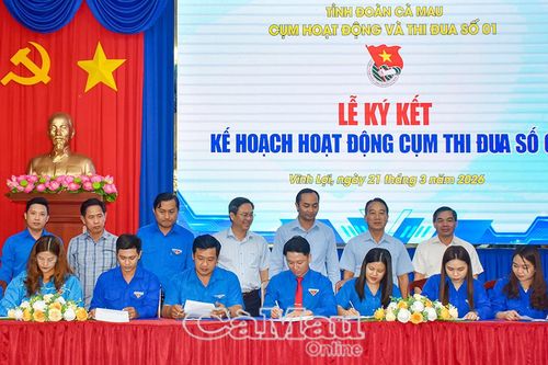 Nhiều công trình, phần việc của tuổi trẻ vì cộng đồng