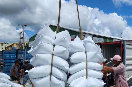 Khơi thông nguồn lực đưa hạt gạo Việt Nam vươn tầm thế giới
