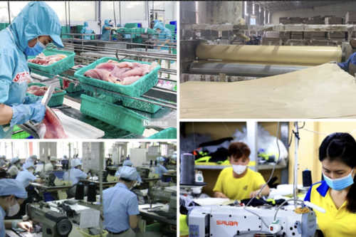 Bắc Ninh đẩy mạnh kết nối thị trường lao động, hỗ trợ doanh nghiệp tuyển dụng