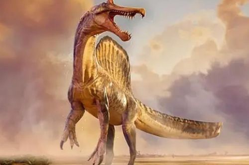 Phát hiện chấn động: Rồng thực sự tồn tại?