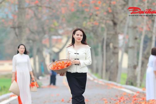Đoan Nữ rực đỏ mùa hoa gạo