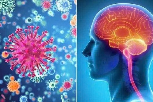 Cảnh giác viêm não mô cầu: 'Sát thủ thầm lặng' với nguy cơ tử vong cực nhanh