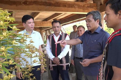 Quảng Ngãi: Hình thành những 'làng hoa' đón khách ở Măng Đen