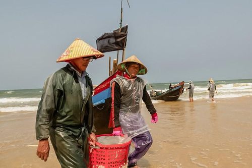 Niềm vui của ngư dân Quảng Trị trúng đậm sứa, ruốc
