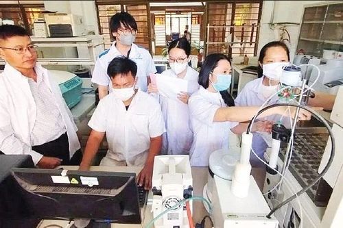 Tiềm năng dược liệu từ cây ngải trắng