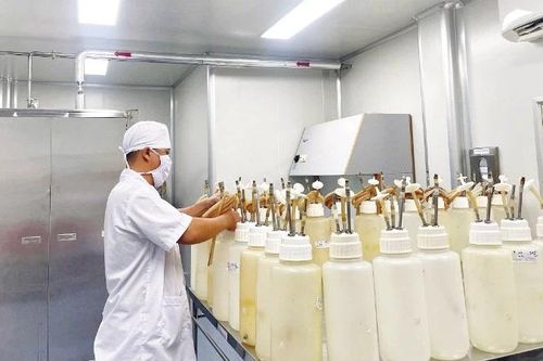 Cống hiến thầm lặng cho y học