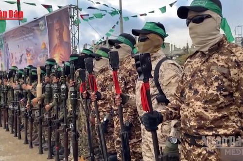 Hội đồng Hòa bình gửi đề xuất giải giáp tới Lực lượng Hamas tại Dải Gaza
