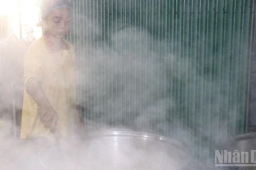 Mùa mật ngọt thốt nốt