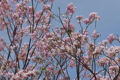Tháng 3 và những vần thơ về phụ nữ