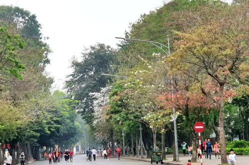 Hà Nội trong sắc màu tháng Ba