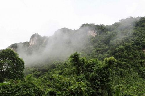 Phong Nha-Kẻ Bàng: 'Kho báu sinh học' đang tiếp tục được khám phá