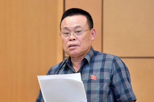 Những doanh nhân trúng cử đại biểu Quốc hội khóa mới
