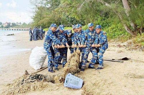 Vùng 5 Hải quân phối hợp tổ chức nhiều hoạt động trong Tháng Thanh niên năm 2026