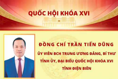 Bí thư Tỉnh ủy Trần Tiến Dũng trúng cử đại biểu Quốc hội khóa XVI