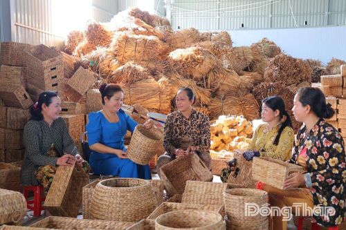 Gieo sinh kế, gặt hạnh phúc