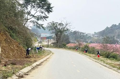 Khát vọng đánh thức tiềm năng du lịch Si Ma Cai từ hoa anh đào