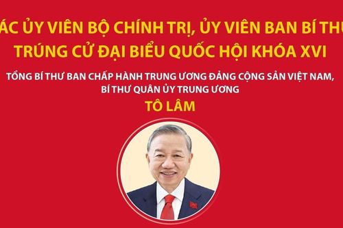 Các Ủy viên Bộ Chính trị, Ủy viên Ban Bí thư trúng cử đại biểu Quốc hội khóa XVI
