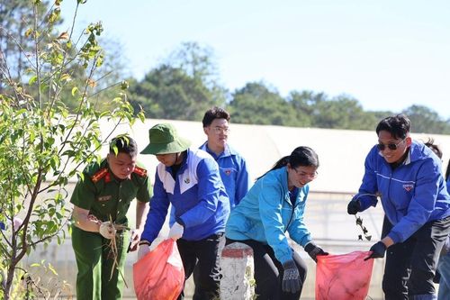 Tuổi trẻ Lâm Đồng ra quân 'Ngày Chủ nhật xanh'