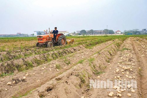 Thúc đẩy cơ giới hóa: Chìa khóa nâng cao hiệu quả sản xuất nông nghiệp