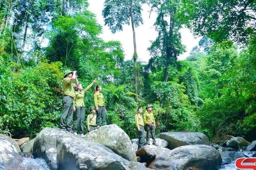EUDR - Thách thức và cơ hội cho cà phê Sơn La