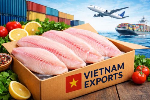 Xuất khẩu cá rô phi tăng hơn 240%, cơ hội ở thị trường nào?