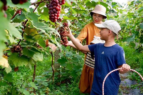 Đánh thức làng quê