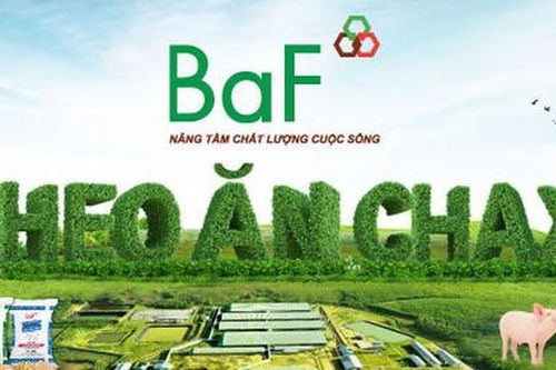 Nông nghiệp BaF (BAF): Thay 'tướng' tài chính 9x, lên kế hoạch lãi kỷ lục nghìn tỷ đồng
