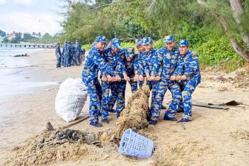Vùng 5 Hải quân tổ chức 'Ngày Chủ nhật xanh'