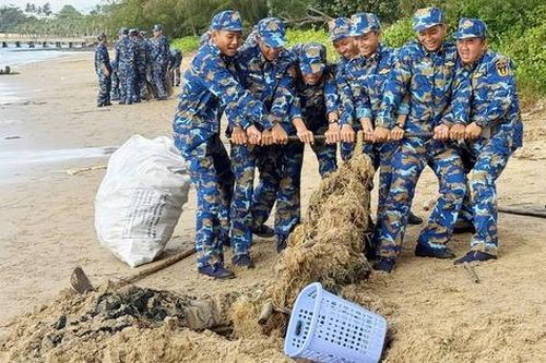 Tuổi trẻ Vùng 5 Hải quân hưởng ứng 'Ngày Chủ nhật xanh'