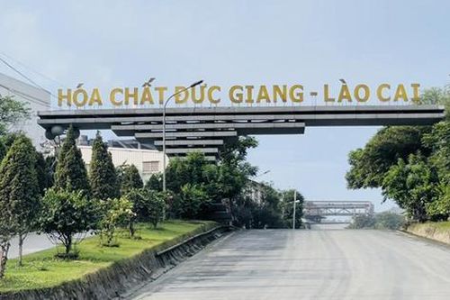 Cổ phiếu DGC của Hóa chất Đức Giang được giải cứu