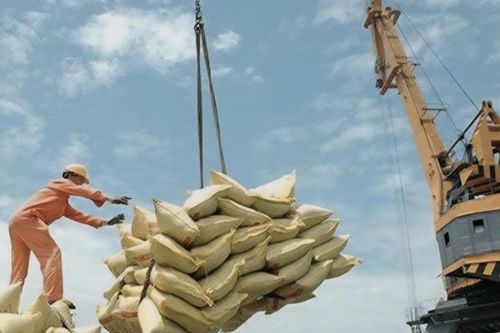 Tìm giải pháp thúc đẩy xuất khẩu gạo