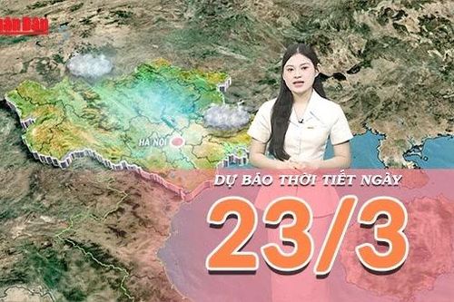 Dự báo thời tiết ngày 23/3/2026: Miền Bắc hửng nắng sớm, cả nước bước vào giai đoạn thời tiết lý tưởng