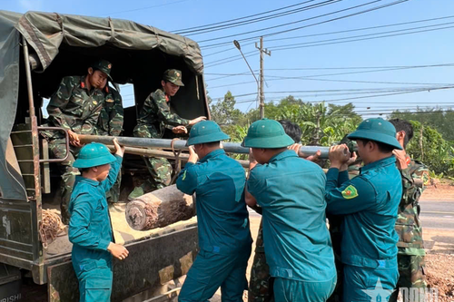 Bộ CHQS tỉnh Đồng Nai kịp thời xử lý an toàn bom, vật nổ còn sót lại sau chiến tranh