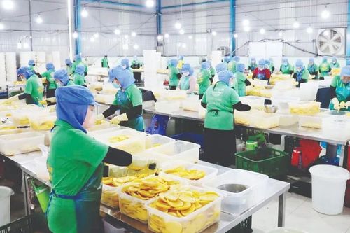 Ứng phó nguy cơ đứt gãy chuỗi cung ứng: Linh hoạt chuyển đổi thị trường, kiểm soát rủi ro