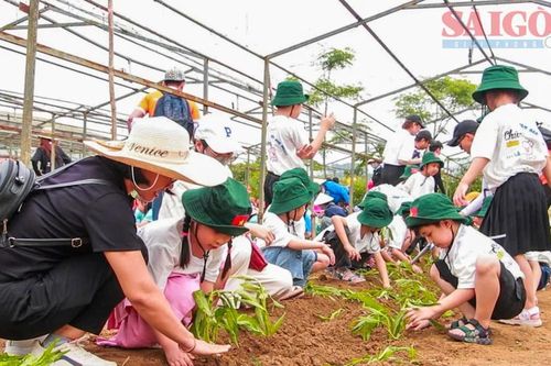 Đánh thức giá trị từ những cánh đồng quê