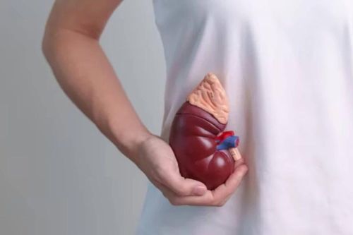 7 thói quen gây hại thận mỗi ngày
