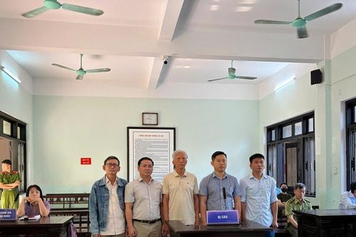 Hủy án sơ thẩm vụ gây thiệt hại hơn 11.000m³ gỗ thông ở Huế