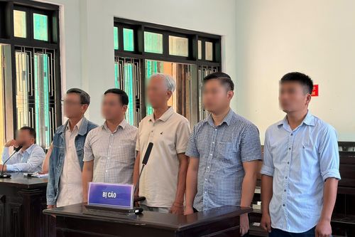 Sai phạm trong tận thu rừng cháy, 3 giám đốc hầu tòa